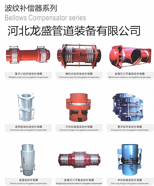 波紋岛国动作片观看在线麻豆係列